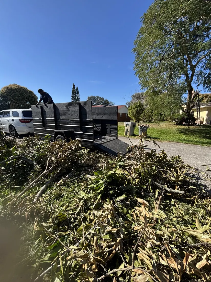 Yard debris removal